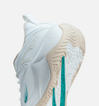 COURT PULSE