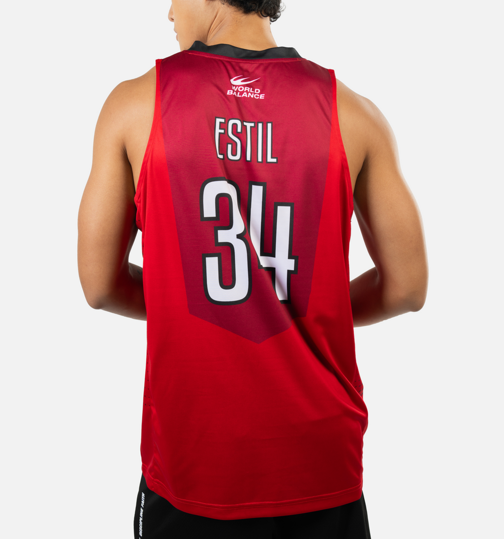 GINEBRA-ESTIL
