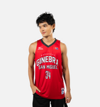 GINEBRA-ESTIL